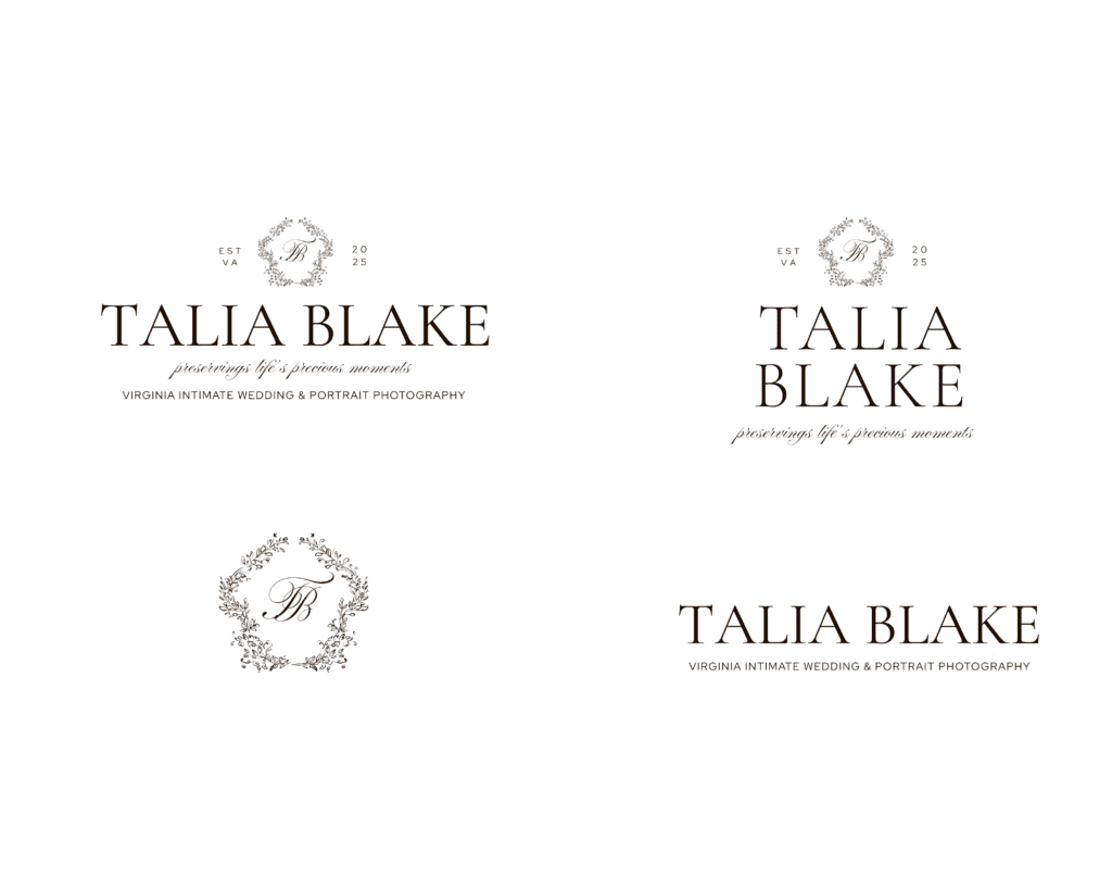 Premade logo mini brand guide (2)