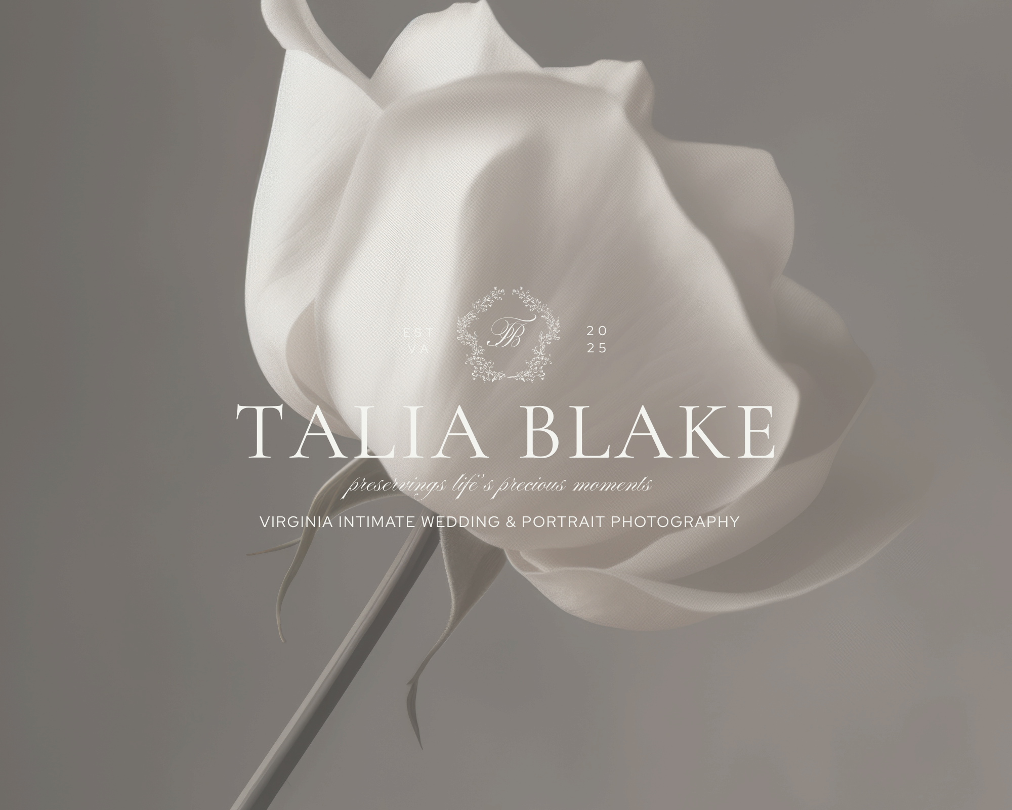 Talia blake mini brand foundation